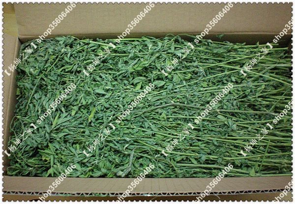 2018年极品紫花苜蓿草干草 毛重1kg箱装 杆细叶多在类目 宠物/宠物食品及用品, 兔类及其用品, 兔兔干草中 - 来自Buy2taobao.com提供专业的淘宝代购服务