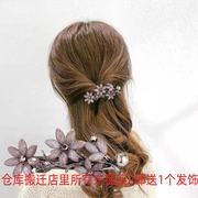 韩国发夹优雅横夹女后脑勺水钻太阳，花朵顶夹气质弹簧发卡高端发饰