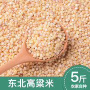 东北特产高粱米新米5斤白高粱米健康粗粮五谷杂粮