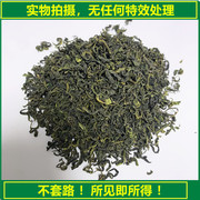 日照绿茶春茶新茶2023清香型浓香型高档茶叶，高山云雾绿茶明前炒青