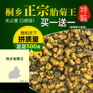 菊花茶特级胎菊王正宗(王，正宗)桐乡杭白菊，杭州胎菊花500g贡菊散装新花