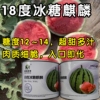 超甜18度冰糖麒麟西瓜种子，超8424甜脆多汁耐裂薄皮，圆西瓜种子籽孑