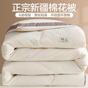 定制新疆棉被纯棉花被，芯冬被加厚保暖棉絮胎，被褥单人学生宿舍春秋