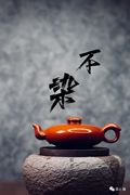 林嬿不染壶潮州手拉壶林嬿纯手工功夫创意茶壶，谢华大师徒弟朱泥壶