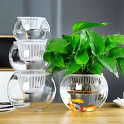 容器水养植物器皿透明型绿萝花盆水培植物玻璃瓶鱼缸玻璃花瓶圆球