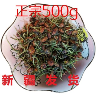 新疆正宗雪菊胎菊养生茶血菊500g菊花泡水特级红菊红茶凉茶