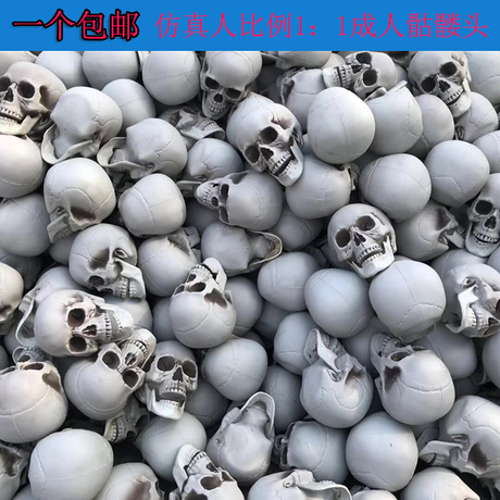 仿真人头骨