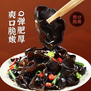 东北长白山黑木耳干货500g非特级非野生秋耳干货无根商用新货