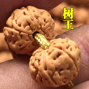 矮桩树王小金刚菩提，108颗佛珠手链男士女菩提子，文玩念珠手串项链