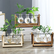 创意木架桌面水培玻璃花瓶养绿萝植物花盆容器摆件办公室客厅装g