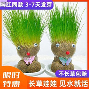 长草头发娃娃小盆栽种草娃娃，种植浇水长草的植物头上长草的娃娃