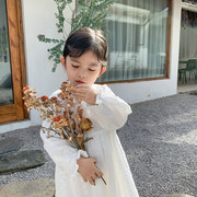 韩国童裙2024春秋女童蕾丝连衣裙韩版长袖儿童公主裙洋气宝宝裙子