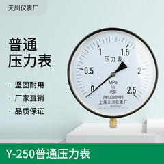 上海天川 普通压力表Y-250 锅炉压力表1.6MPa蒸气表10寸 DN15 4分