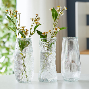 浮雕玻璃花瓶大号透明水养富贵竹，ins高颜值客厅，装饰家用插花摆件