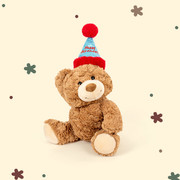 生日帽礼物熊公仔泰迪小熊毛绒玩具可爱抱枕情侣熊玩偶送女友