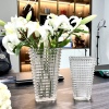 加厚亮网红轻奢欧式玻璃花瓶透明插花现代客厅，简约家居装饰品摆件