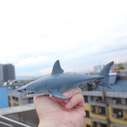 仿真动物海洋生物模型虎鲸大白鲨鱼龟海豚豹鲸章鱿鱼儿童玩具认知