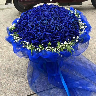 同城鲜花速递99朵蓝色妖姬，鲜花蓝玫瑰生日，福州广州深圳花店送