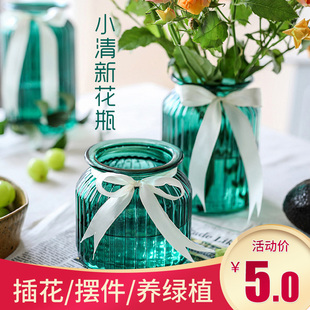 小清新彩色玻璃花瓶透明水培绿萝欧式家居客厅田园摆件干花插花瓶