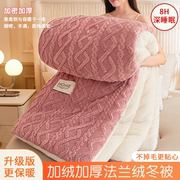 绒毯被子毛毯加厚冬季保暖床单珊瑚绒盖毯牛奶法兰绒毯子床上用YT