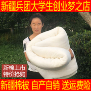 3斤棉被棉胎棉絮棉花被芯长绒棉被子春秋夏凉被空调被床垫絮