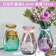 花瓶玻璃透明水养客厅，摆件鲜花插花瓶北欧简约富贵竹干花花瓶欧式