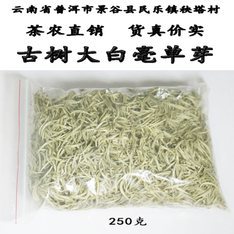 大白毫普洱