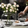 轻奢大肚花瓶摆件ins玻璃，透明水养鲜花干花，插花客厅桌面鱼缸花器