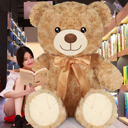 大熊毛绒玩具公仔布洋娃娃抱抱熊，泰迪熊猫大号，新年玩偶女生日礼物