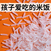 一江秋网红煲仔饭长粒香大米5kg丝苗香米2023年新大米(新大米)10斤鲜米