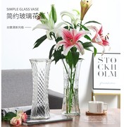 玻璃花瓶透明水养富贵竹百合，花瓶摆件客厅，插花干花北欧家用特大号