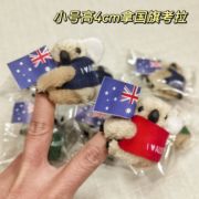 澳大利亚纪念品澳洲国旗小考拉树袋熊树熊考拉玩具夹子拿旗子10只