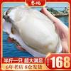 正宗乳山生蚝鲜活带箱10斤5XL山东即食烧烤牡蛎肉海蛎子新鲜水产