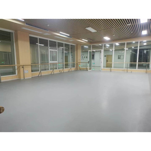 舞蹈健身房室内幼儿园pvc塑胶地板地板贴地胶地板革地贴加厚