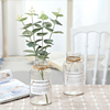 创意玻璃花瓶透明摆件，假花尤加利水培植物绿萝花瓶，小摆件客厅简约