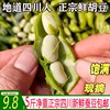 四川当季新鲜带壳胡豆蚕豆角米农家自种蔬菜罗汉兰花豆现摘青豆