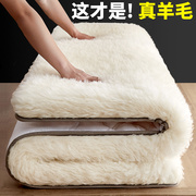 加厚羊毛床垫冬季褥子垫被，软垫羊羔绒秋冬保暖床，褥垫毛毯垫子单人