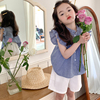 女童衬衫夏季宝宝娃娃衫小立领，韩版法式花边小飞袖衬衣上衣潮