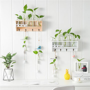 创意水培玻璃花瓶悬挂式透明插花植物绿萝壁挂，小清新墙面挂钩装饰