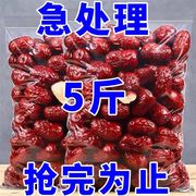 新货红枣新疆和田特产红枣，500g袋装免洗饱满枣子干果大枣