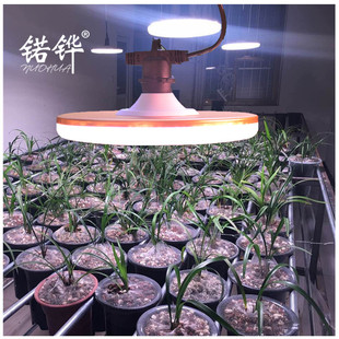 锘铧led植物灯室内阳台兰花绿植花卉大范围光照灯 多肉植物补光灯