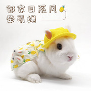 宠物兔子衣服牵引绳兔兔荷兰猪垂耳兔幼兔侏儒兔装饰品服饰帽子