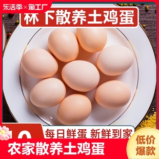农家散养土鸡蛋10枚新鲜初生，蛋谷物蛋农村，柴鸡蛋笨鸡蛋40g枚
