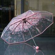 创意樱花透明三折雨伞折叠女韩国日本樱花树荫伞文艺清新可爱萌伞