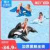 超大游泳圈充气坐骑大鲨鱼水上玩具成人大人海豚黑鲸鱼冲浪网红
