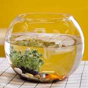 2023鱼缸金鱼玻璃桌面乌龟透明创意龟缸迷你办公桌圆形客厅小型小