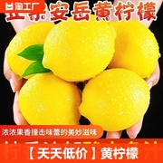 天天低价四川安岳黄柠檬一级果3/5/9斤现摘皮薄多汁榨汁