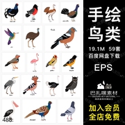 59种鸟类猫头鹰火烈鸟老鹰手绘插画t恤图案，印刷eps矢量素材