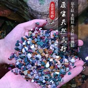 室内鱼缸造景装饰砂底砂石子水族箱饰品小块大天然雨林水陆水草缸