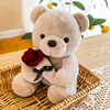 可爱玫瑰花泰迪抱抱熊公仔毛绒玩具，小熊布偶娃娃送女孩情人节礼物